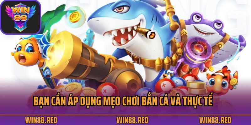 Bạn cần áp dụng mẹo chơi bắn cá và thực tế