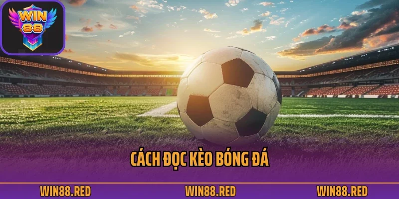 cách đọc kèo bóng đá
