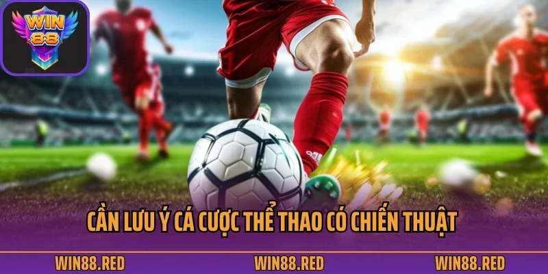 Cần lưu ý cá cược thể thao có chiến thuật 