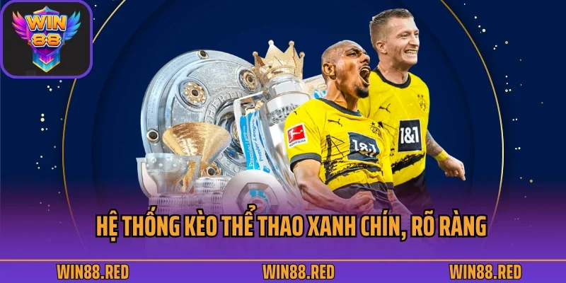 Hệ thống kèo thể thao xanh chín, rõ ràng
