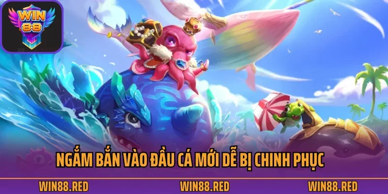 Ngắm bắn vào đầu cá mới dễ bị chinh phục